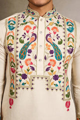 Beige Color Special Embroidered Kurta for Mens Wear